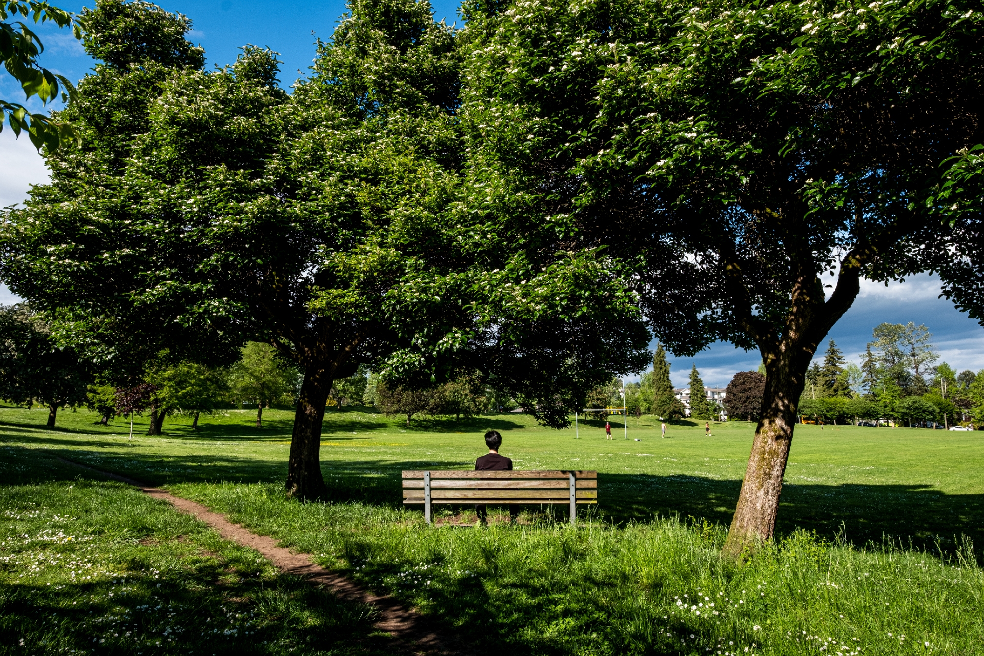 Sav Neighbourhood 01