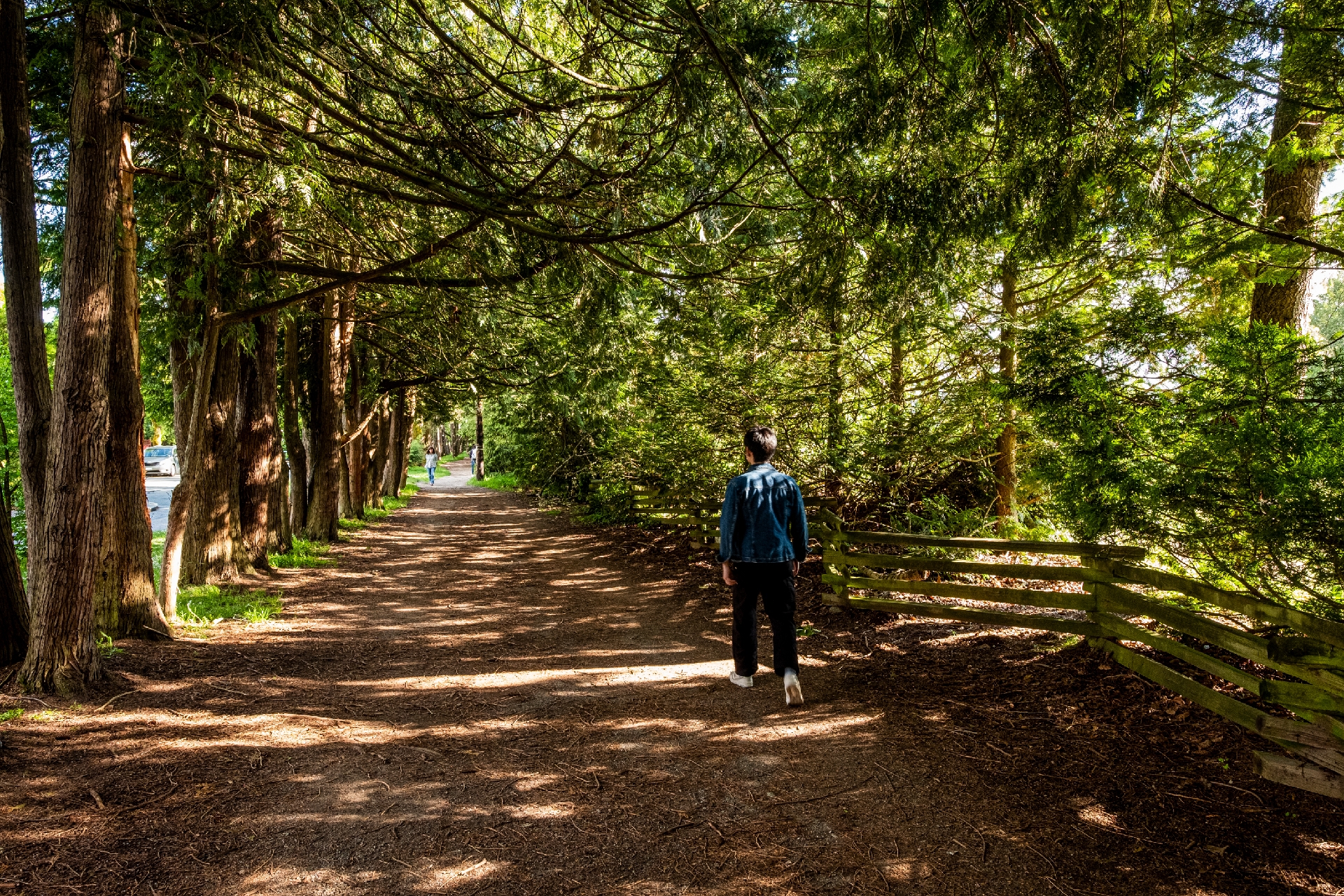 Sav Neighbourhood 05