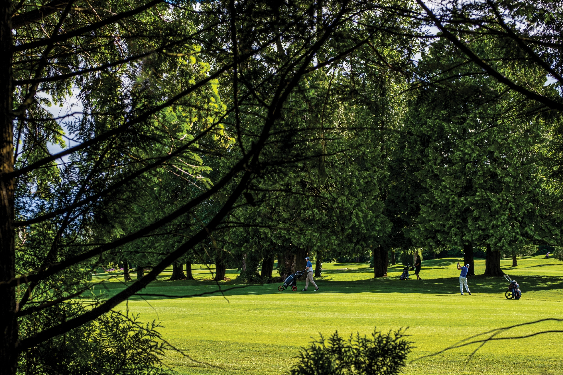 Sav Neighbourhood 06